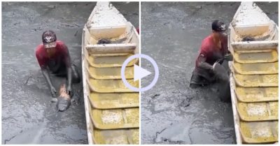 Video: Chàng trai thích thú khi bắt được cá khủng