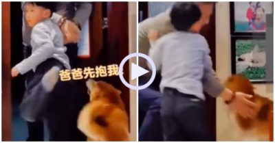 Video: Cậu bé ngăn bố ôm chó cưng