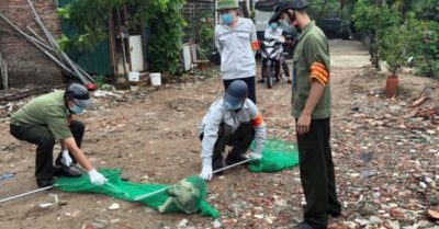 Bộ Nông nghiệp kiến nghị các địa phương đều có đội bắt chó thả rông như Hà Nội, TP. HCM