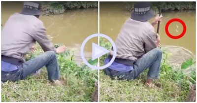 Clip: Cần thủ “đau tim” khi thấy cá ngoi đầu lên mặt nước