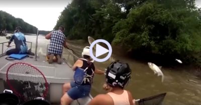 Khoảnh khắc cá mè ồ ạt vọt lên mặt nước như ‘bắp rang bơ’