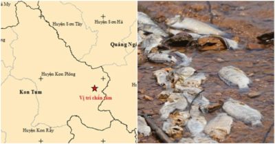 Tin tức sáng 24/8: Kon Tum một ngày xảy ra 11 trận động đất, có trận mạnh nhất trong hơn 100 năm qua; Cá phóng sinh chết trắng trong hồ cấp nước cho 47.000 hộ dân