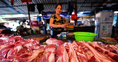 Giá thịt lợn tại Trung Quốc tăng kỷ lục, Việt Nam chặn gấp lợn vượt biên