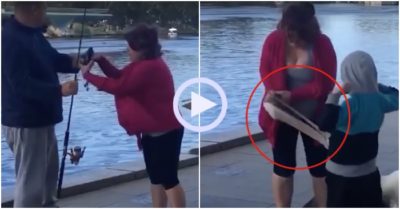 Video: Bồ nông lao ra cướp cá từ tay du khách