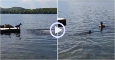 Video: Bất chấp nguy hiểm chó cưng vội vàng nhảy xuống nước cứu chủ