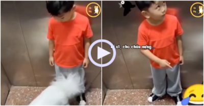 Video: Thấy cún cưng dễ thương, cậu bé lễ phép gọi là chị để được bế