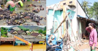 Tin tức tối 29/9: 3 người chết và mất tích, hơn 7.300 nhà bị ngập do mưa lũ ở Nghệ An; Người phụ nữ lâm cảnh khốn cùng sau bão số 4