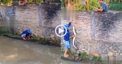 Video: Hai người đàn ông câu trúng cá chình ‘khủng’ trong rạch nhỏ