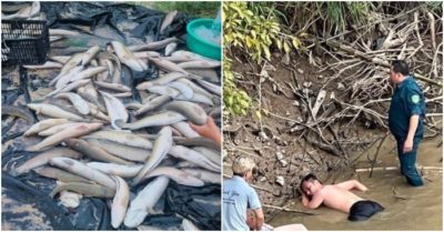 Tin tức tối 12/10: Nông dân trắng tay sau trận dông sét làm chết hơn 3 tấn cá lóc; Liều mình bơi ra giữa sông, cứu thành công nạn nhân đuối nước