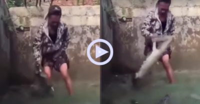 Clip: Thanh niên mạo hiểm nhảy xuống ao chăm sóc đàn cá sấu