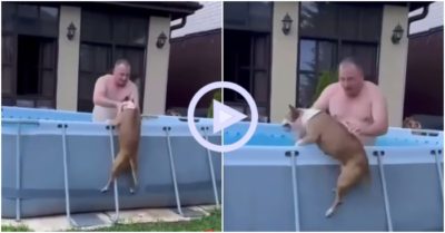 Clip: Chú chó kiên quyết lao vào hồ học bơi