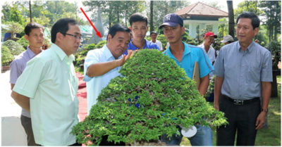 Mở rộng vụ AIC: Cựu bí thư Đồng Nai ‘ám vận thanh nhàn’