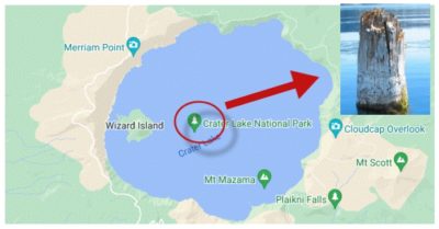 Bí ẩn thân cây 500 tuổi di chuyển thẳng đứng trên hồ tại Mỹ