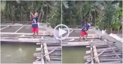 Video: Bị mèo cướp mất cá cậu bé gào thét đuổi theo