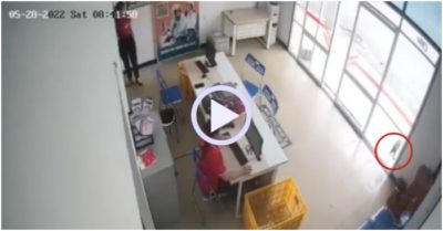 Video: Mèo chạy xuyên qua cửa kính khiến nhân viên ‘đứng hình’