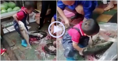 Clip: Bé trai 7 tuổi ra chợ bán cá mưu sinh cùng bố mẹ