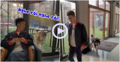 Clip: Giận chủ, chó husky nhất quyết không vào nhà