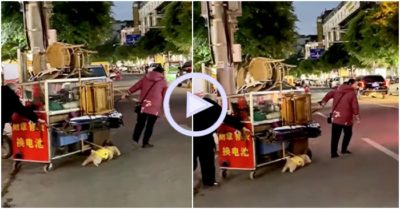 Clip: Cún con chăm chỉ kéo xe phụ ông bà chủ