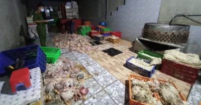 Tin tức tối 17/11: Những căn biệt thự của cựu chủ tịch AIC ở Hà Nội bị kê biên; Hơn 2 tấn gà chết sắp bán cho cơ sở giò chả