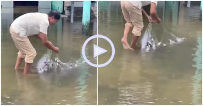 Clip: Cá tranh nhau mắc lưới trong sân nhà