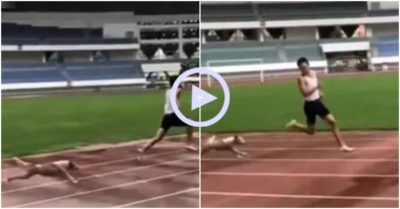 Clip: Bị chó đuổi, anh chàng vận động viên bỗng vụt sáng trên đường đua