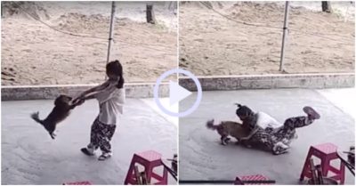 Video: Cún con khốn khổ vì chơi đùa cùng chủ
