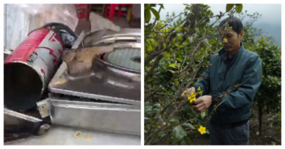 Tin tức sáng 14/12: Nổ bếp gas mini, 10 học sinh bị bỏng; Người dân lo lắng mất thu nhập vì mai Tết nở sớm