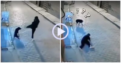 Video: Tung cước trêu chó, chàng trai ngã úp mặt xuống đường