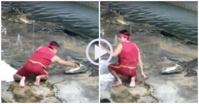 Video: Nam diễn viên giật mình khi cho tay vào miệng cá sấu