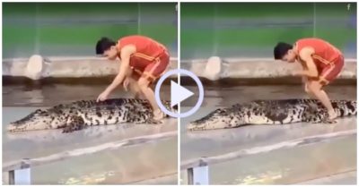 Video: Cá sấu gạt tay chàng trai ra khỏi người vì nhột