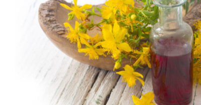 Một loại trà thảo dược mạnh mẽ chữa cơn đau mãn tính