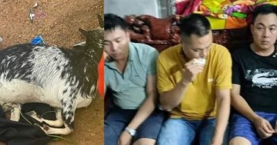 Tin tức 28/6: Ba công an bắn chết dê của người dân bị tạm giữ; Bà ‘trùm’ đất nền Trần Thị Mỹ Hiền đang bị tâm thần