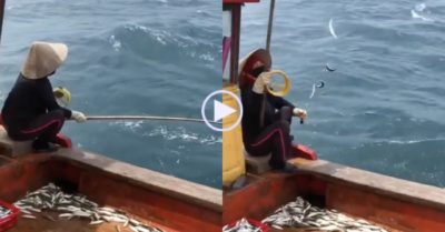 Video: Nữ cần thủ mỏi tay giật hàng chục con cá