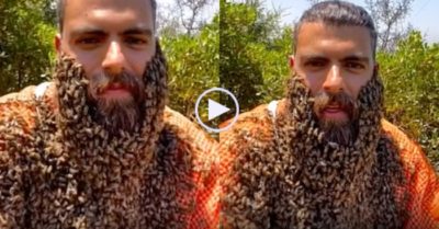 Video kỳ lạ: Hàng nghìn con ong ‘làm tổ’ trên râu của người đàn ông