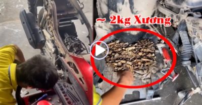 Video: Gia đình chuột 9 năm sống trong xe máy và cái kết