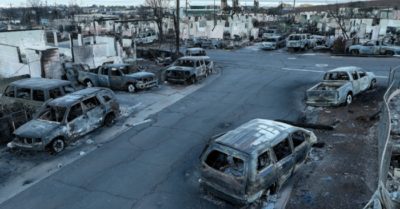 Tin tức 22/8: Tài xế sử dụng giấy phép lái xe giả điều khiển xe khách; 850 người mất tích trong vụ cháy rừng ở Hawaii