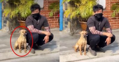 Video: Cún say đắm chàng trai ngoài phố