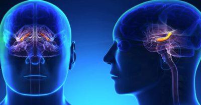 Ảnh hưởng sức khỏe của fluoride: Góc độ khoa học