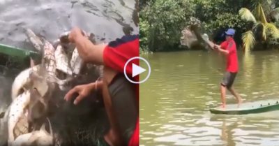 Video: Người đàn ông quăng chài được mẻ cá to
