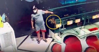 Tin tức 9/10: Cháy tại trường tiểu học, hàng trăm học sinh chạy thoát xuống sân; Thanh niên trộm tôm hùm gần 9 triệu đồng