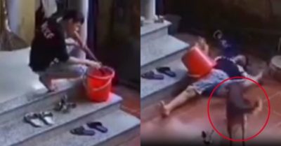 Video: Thấy cậu chủ say thuốc lào ngã xuống đất, chú chó đi tìm người đến cứu