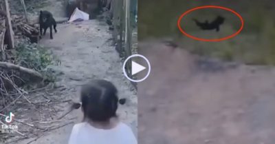 Video: Chú chó chạy thục mạng, bay luôn xuống hố khi nghe tiếng hét bé gái