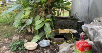 Tin tức 13/12: Nông dân đổ củ đậu cho bò vì giá chạm đáy; Nỗi đau người mẹ khi biết tin hài cốt trong bể nước là con gái mất tích 13 năm