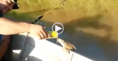 Video: Cá bất ngờ ngoi lên mạn thuyền ‘uống bia’ nhậu cùng người câu cá
