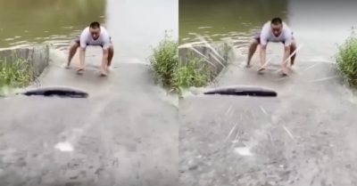 Video: Người đàn ông tiếc ngẩn ngơ vì tuột mất cá ‘khủng’