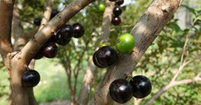 Kiếp nhân sinh có hai đại sự ‘nhất thành bất biến’ nên thận trọng