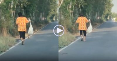 Video: Ngỗng bị chủ lôi cổ vào nhà khi chạy ra đường nhựa
