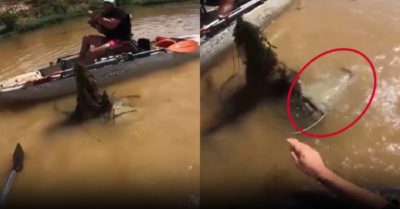 Video: Cá trê khủng phản công vì bị cần thủ dùng tay ‘vuốt má’