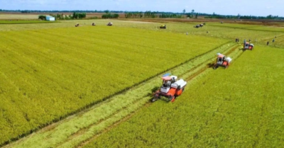 Cần Thơ: Công nghệ cao nâng tầm nông nghiệp