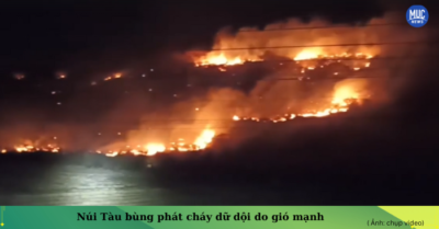 Núi Tàu, Bình Thuận: Cháy lớn lan nhanh, khó kiểm soát